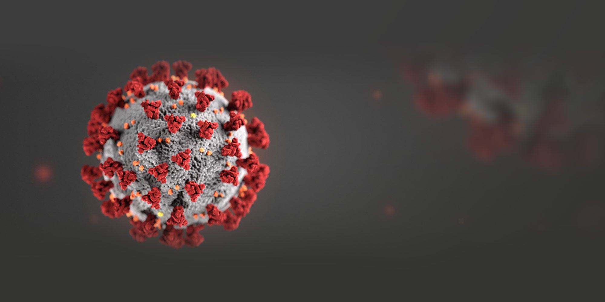 Coronavirus