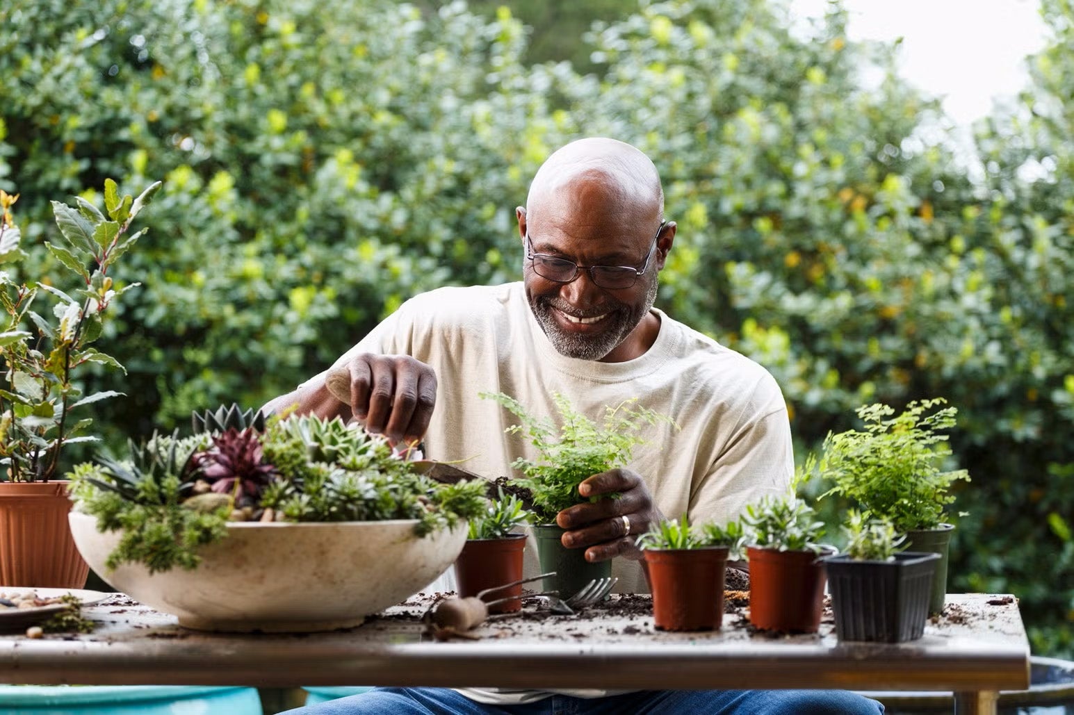 Senior Living Options